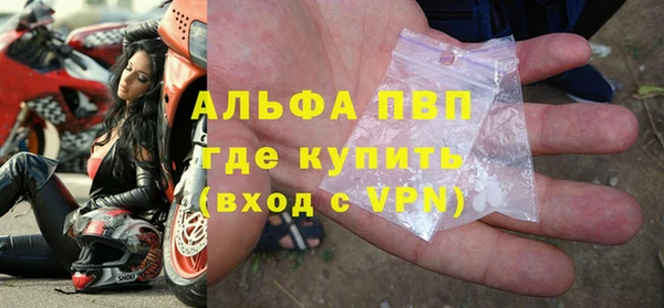 сатива Алексин