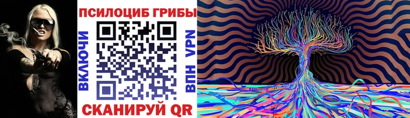 Галлюциногенные грибы Cubensis  наркотики  Красавино 